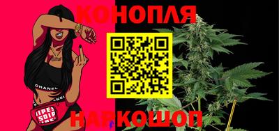 СК Пенза