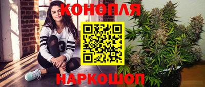 СК Пенза