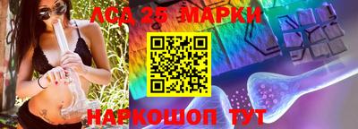 СК Пенза