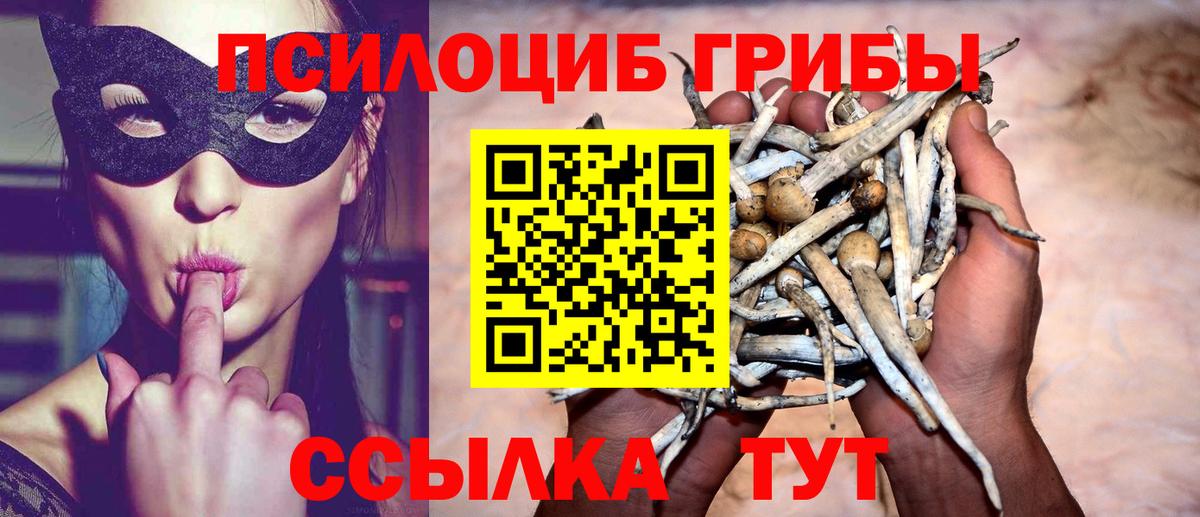Галлюциногенные грибы Magic Shrooms Ачинск