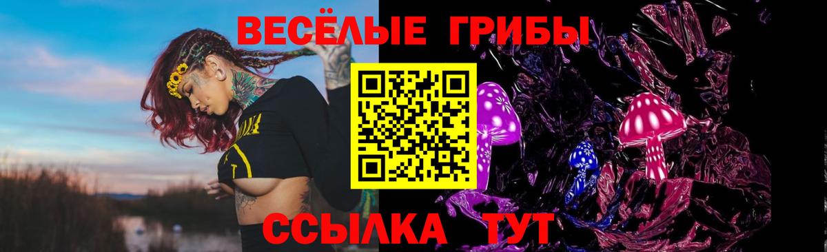 Псилоцибиновые грибы Psilocybe  Вход с VPN  Псилоцибиновые грибы MAGIC MUSHROOMS  Ачинск 